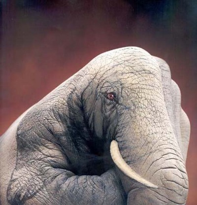 4593_big.jpg